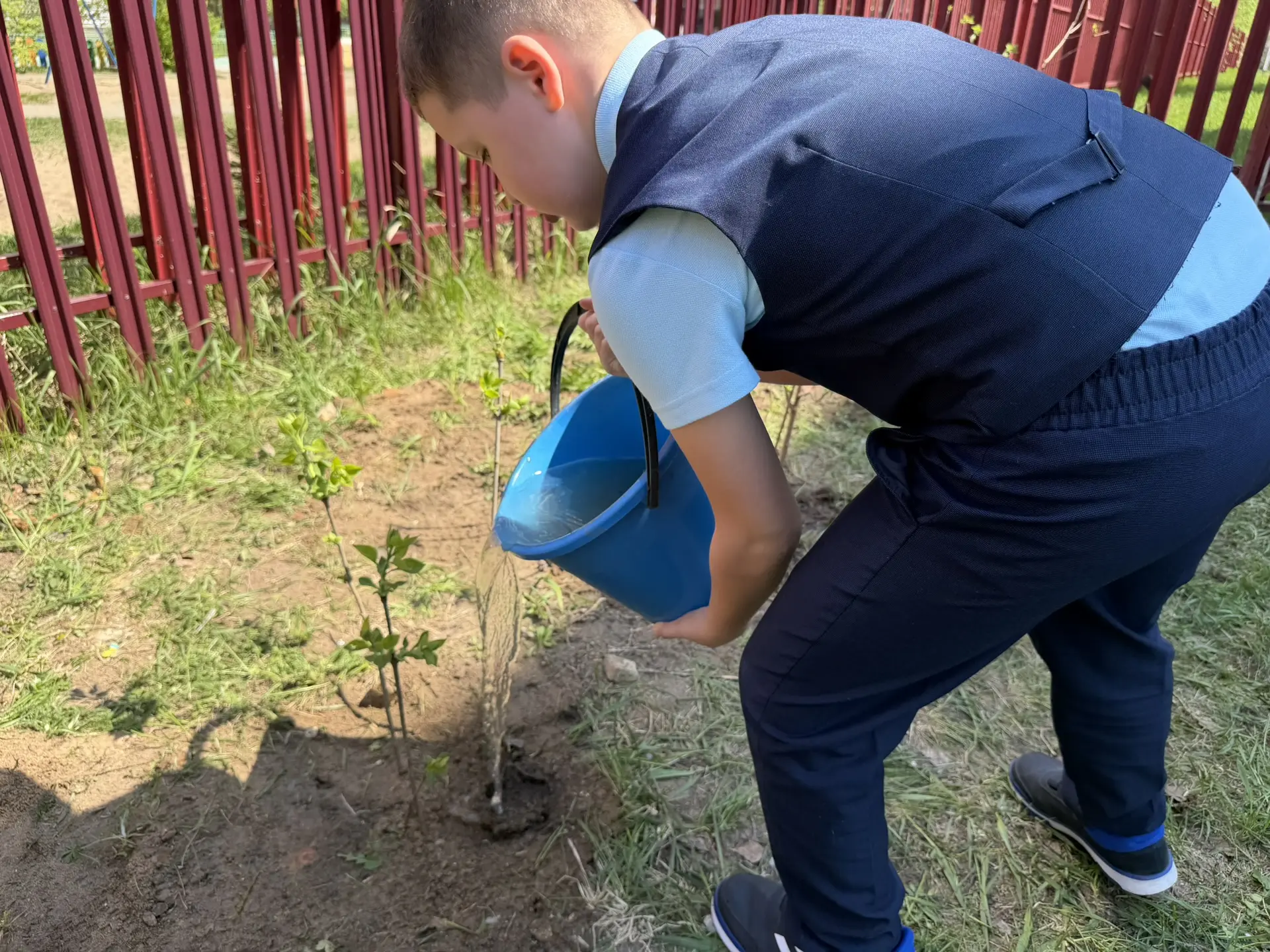 🌱 Сирень Победы: память, которая цветет  Сегодня 3в класс вместе с классным руководителем Натальей М
