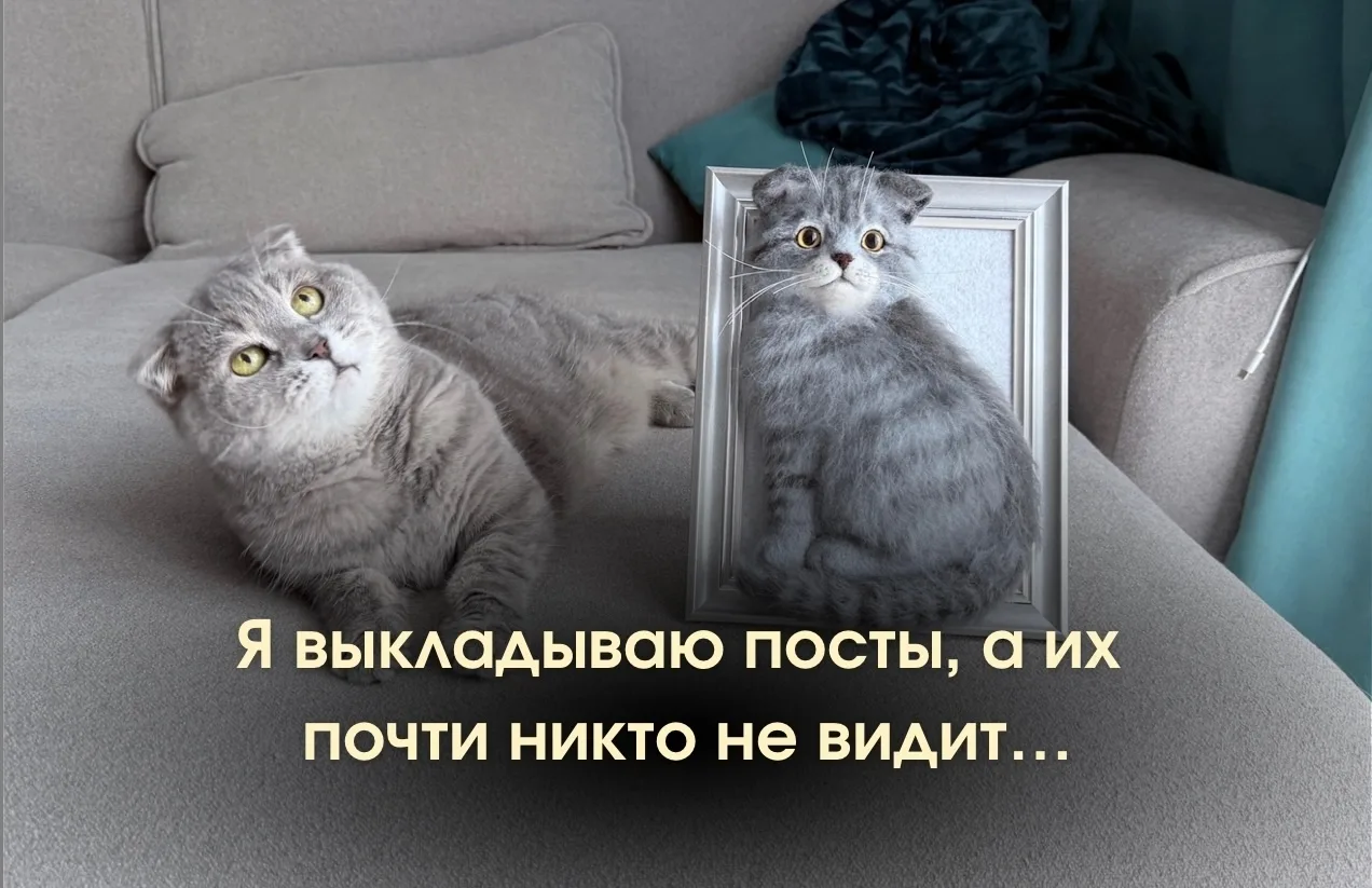 Я выкладываю посты, а их почти никто не видит...🤡