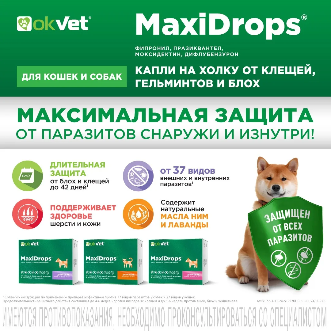 ❓Защита домашних животных от паразитов: как повысить дисциплину владельцев