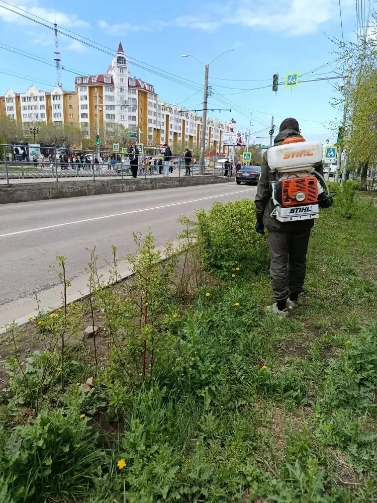 Сохранить деревья здоровыми и устойчивыми к заболеваниям – в Улан-Удэ идет обработка насаждений  🌿 П