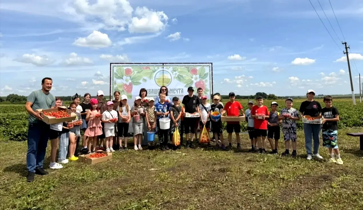 Мы с ребятами  отправились на экскурсию в клубничное поле Кашкарова О.В. "Чувашская меч...