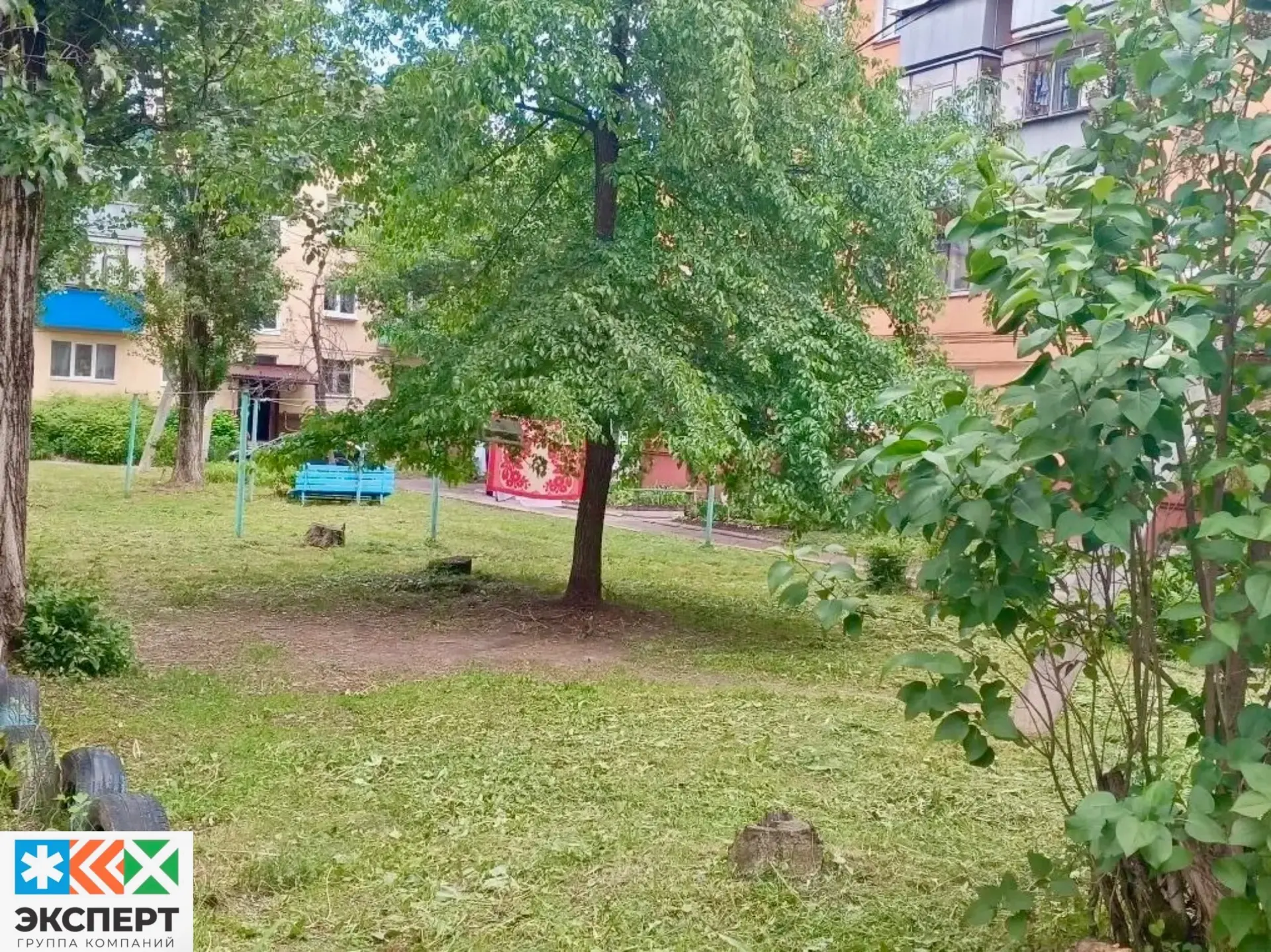 ООО УК «Эксперт» произвела покос сорной растительности, по адресу: