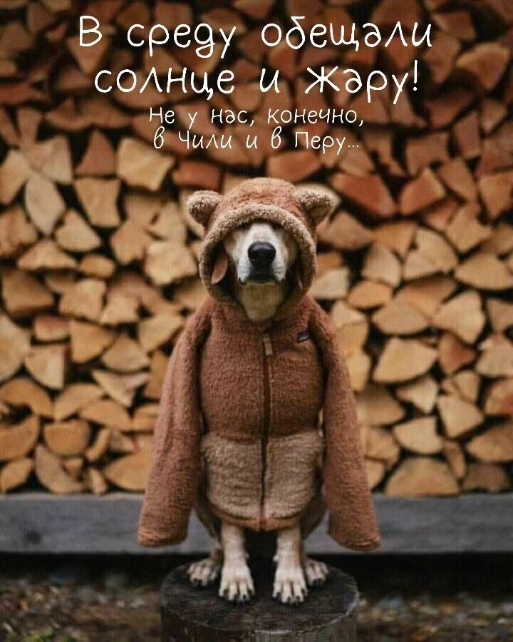 О погоде на завтра, не благодарите! 😀