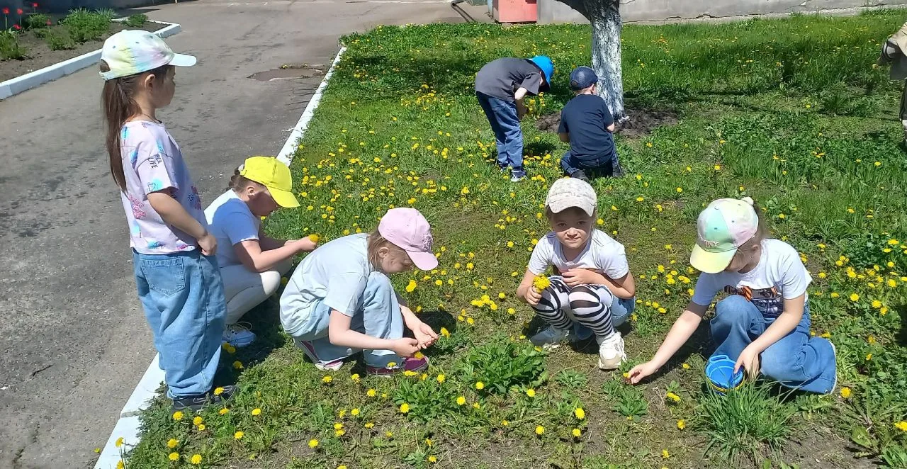 Веночек из одуванчиков