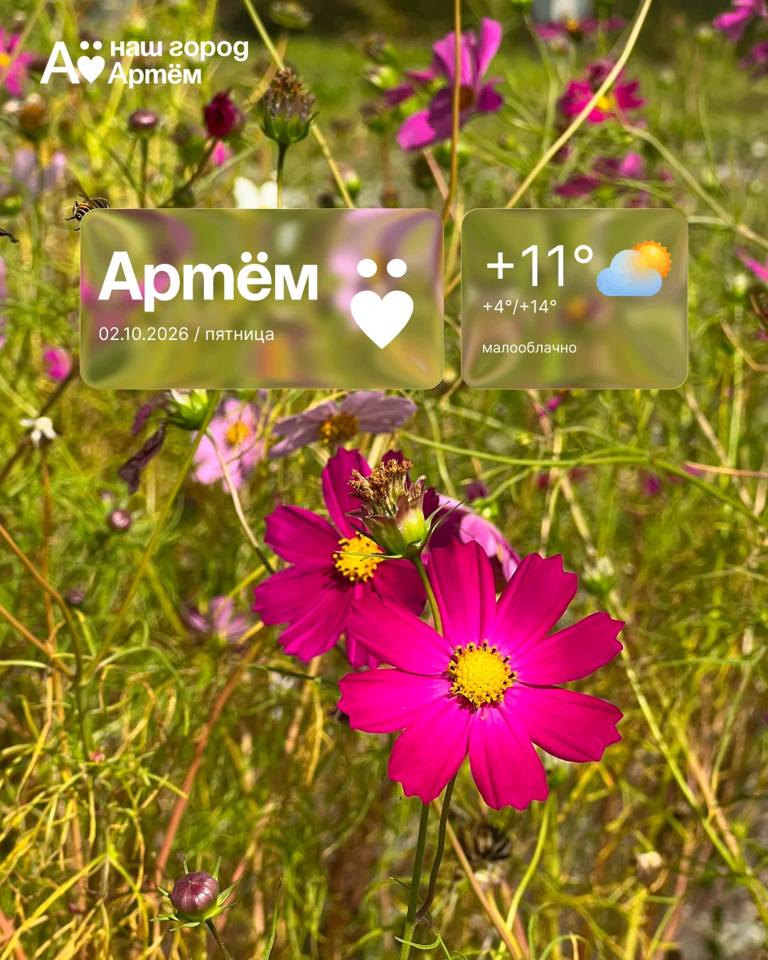 Доброе утро, Артём!