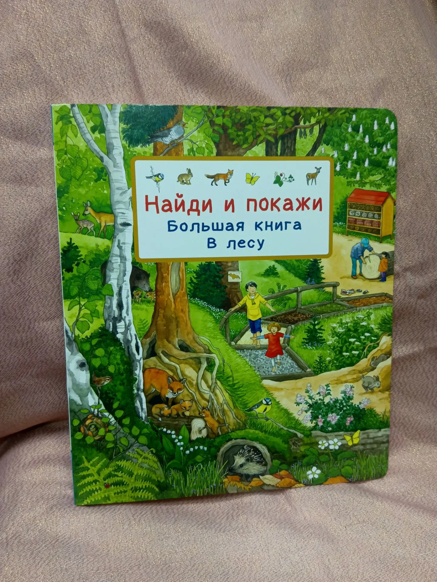 Книги из серии «Найди и покажи».