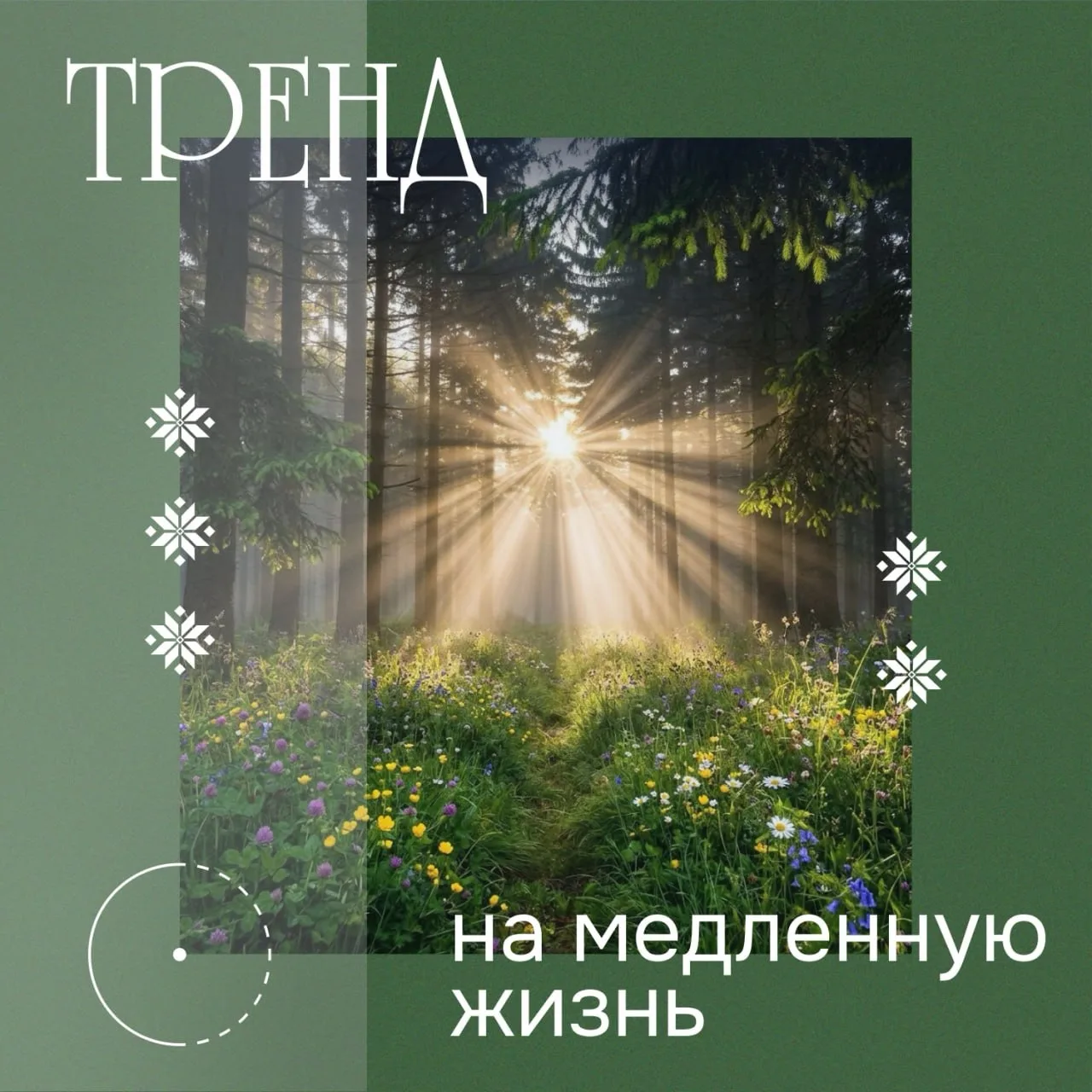 Пост для тех, кто устал от суеты: медленная жизнь и медленные деньги

Современный мир устроен как бе