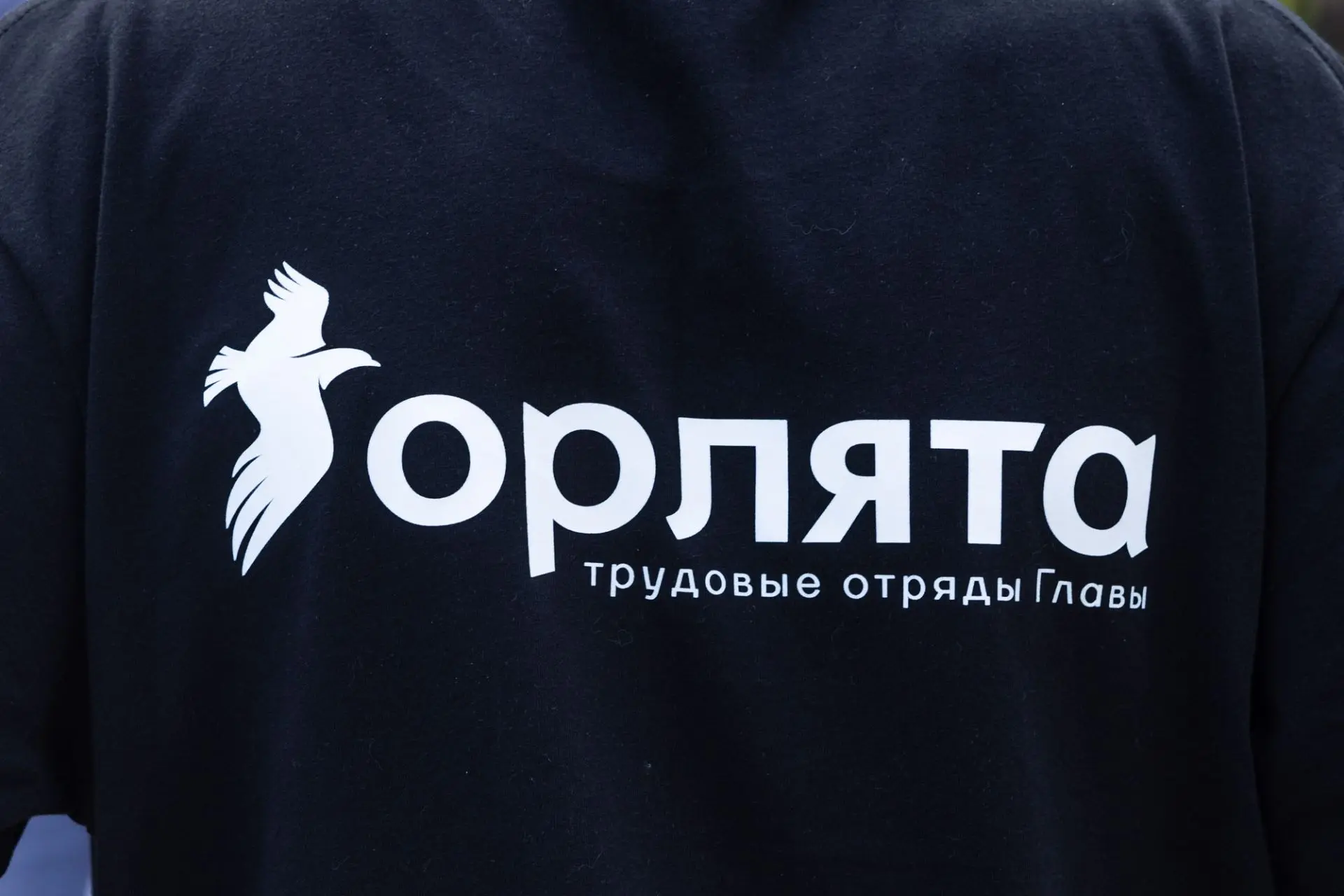 В парке Маяковского дали официальный старт летней трудовой кампании для подростков. Вре...