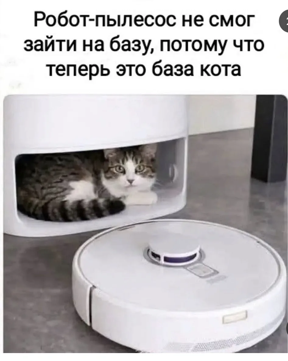 Когда личные границы нарушены 😅