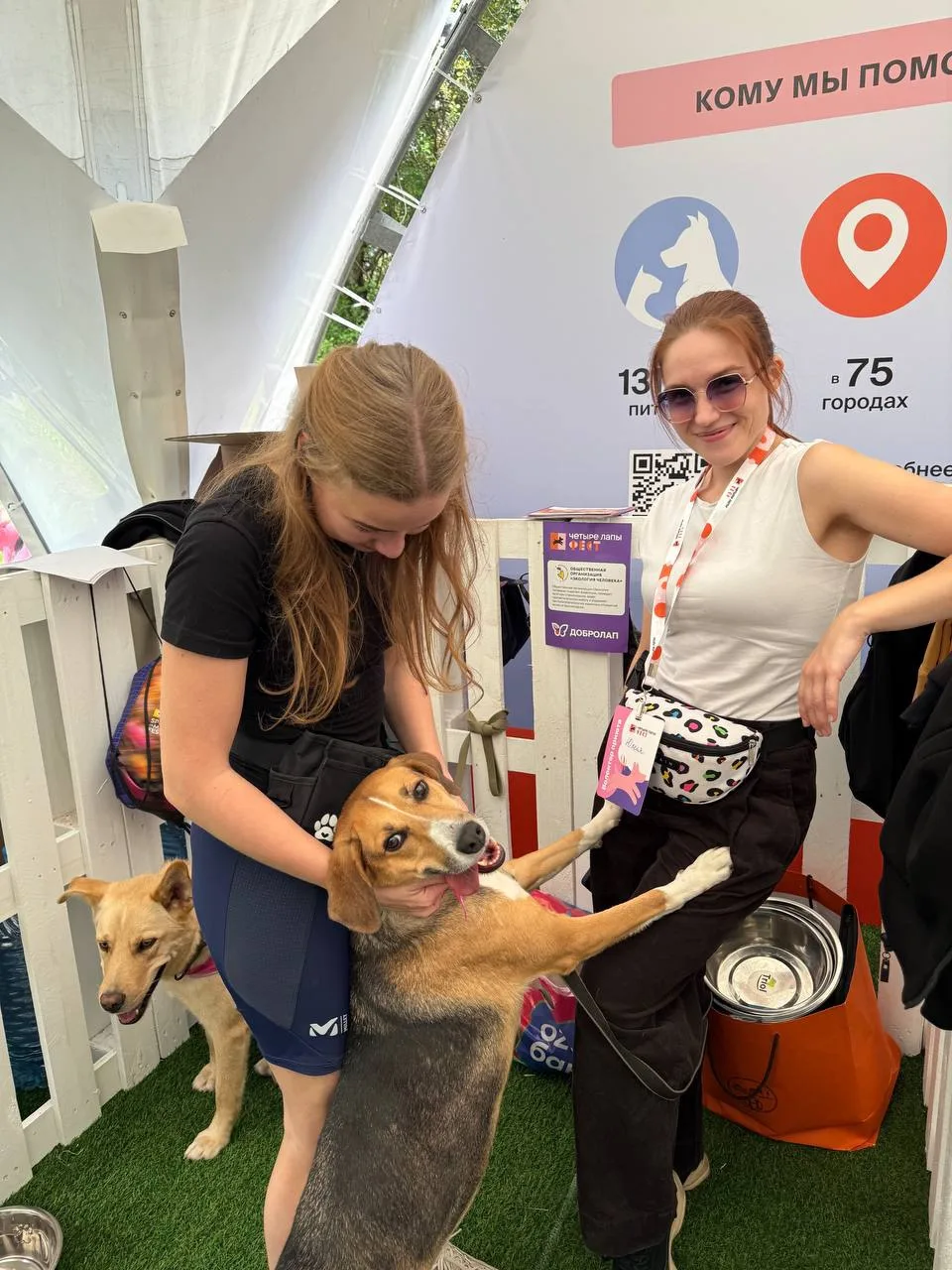 Мы сегодня и завтра на «Четыре Лапы Фест»! 🐾💜