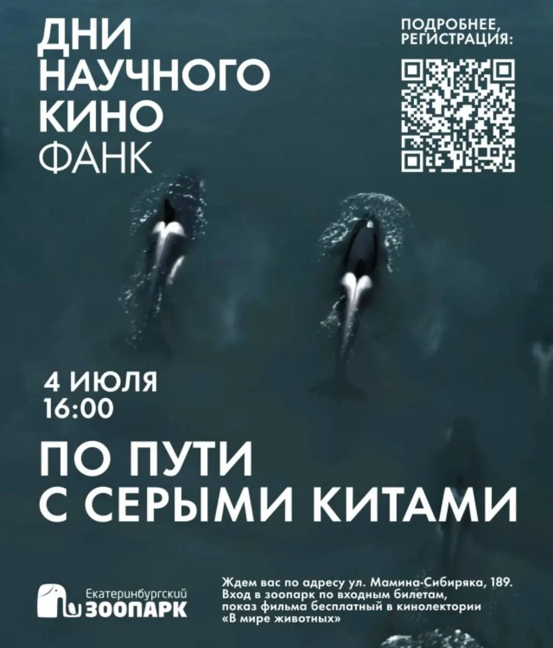 #КИНО@iz_doma_ekb
