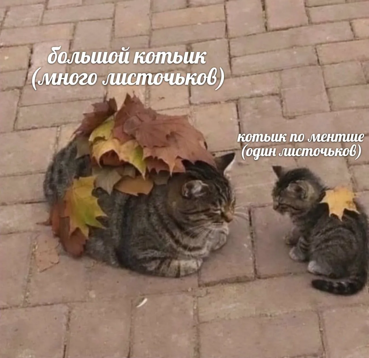 Ставь лайк! ❤️