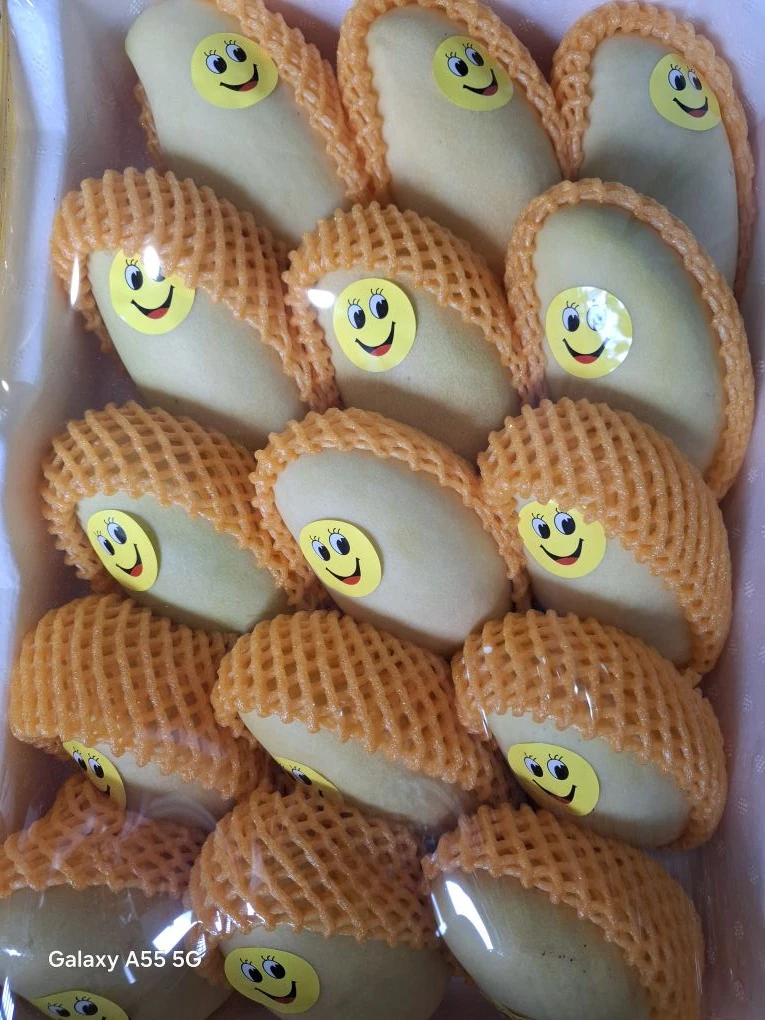 И вот наш Свежий завоз🤩