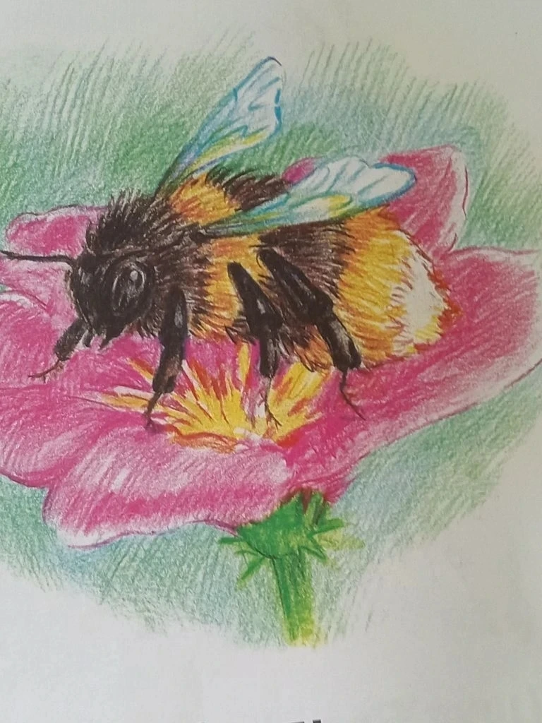 🦋🐞🐝 Тематическая неделя: в гостях у насекомых! 🐛🕷️🦟