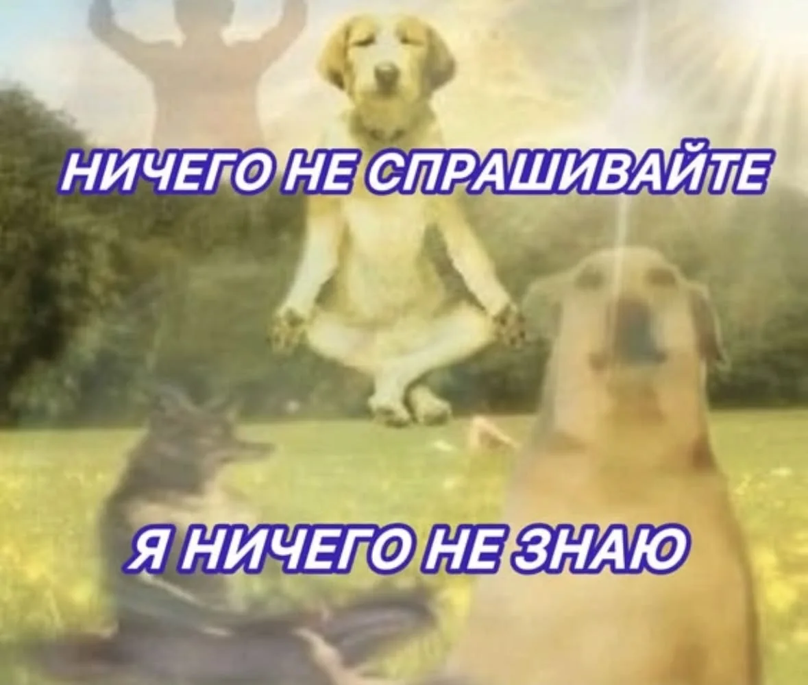 Пишут, что одним из самых необычных признаков выгорания оказалась тяга к учёбе, самораз...