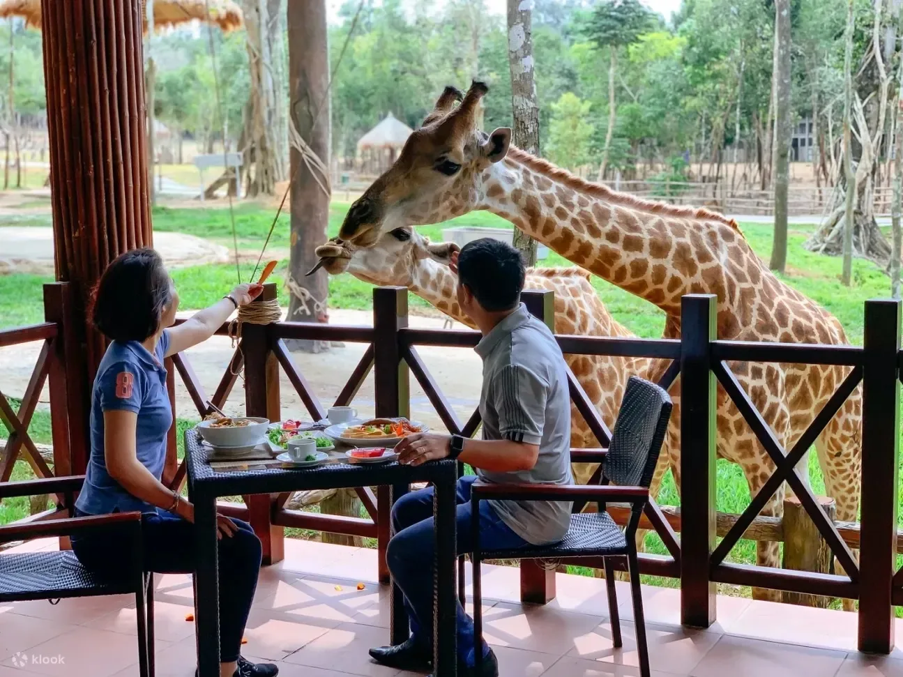 📍Safari World («Мир Сафари») — тематический парк в Бангкоке, Таиланд, который сочетает зоопарк под 