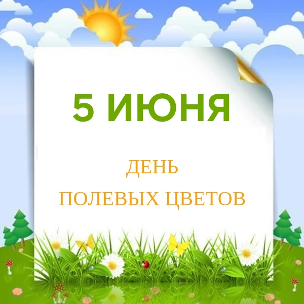 5 июня - День полевых цветов. Узнать историю праздника, интересные факты о цветах, а также идеи как 