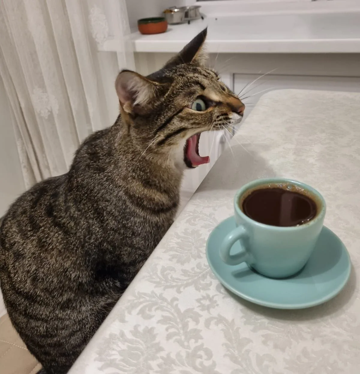 ☕ Международный день кофе отмечается сегодня. В этот день принято пить любимый напиток ...