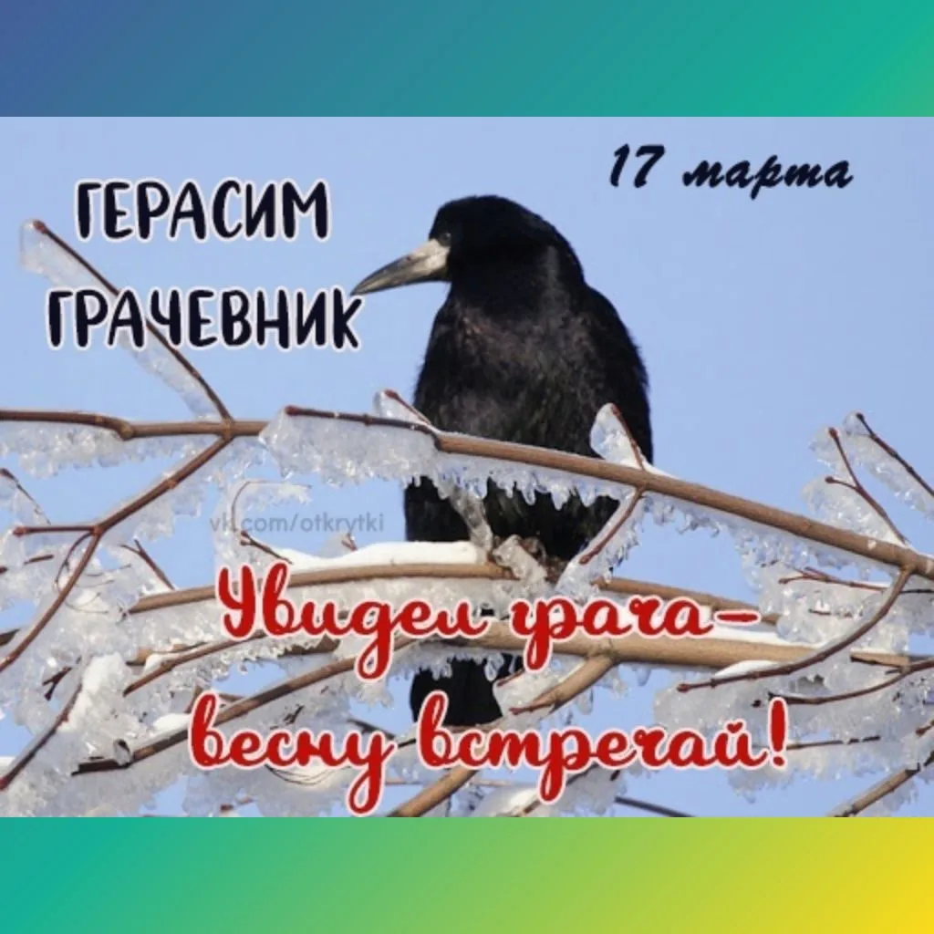 На полях грачи гуляют: