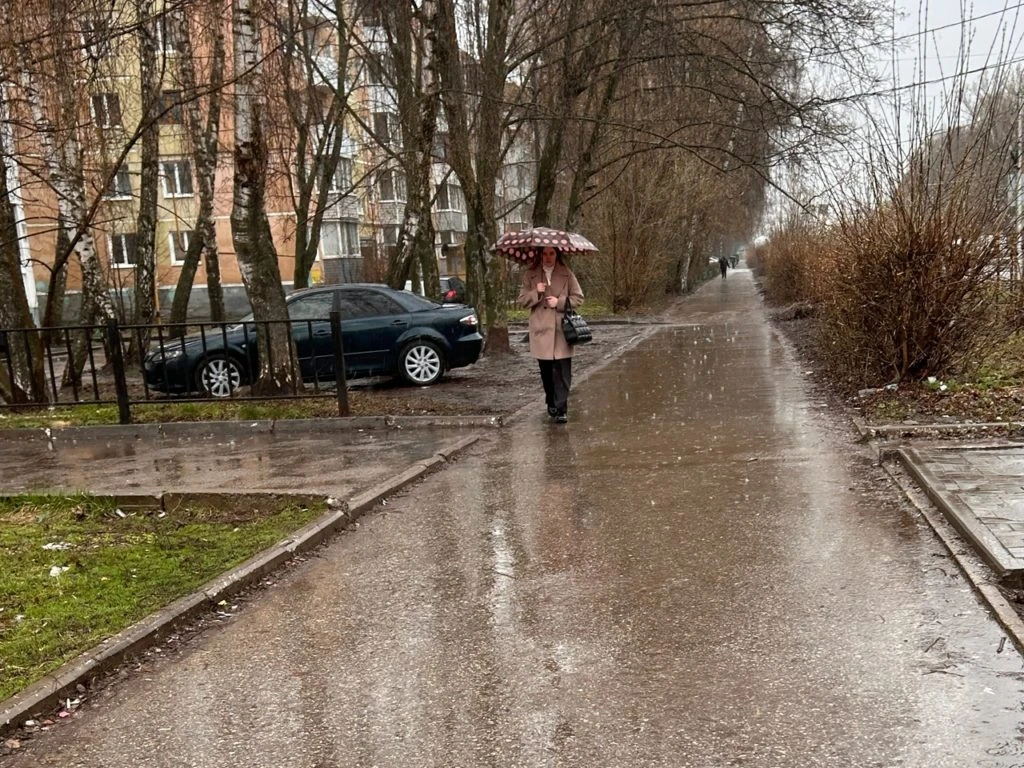 Завтра в Рязанской области температура воздуха максимально поднимется до +9  19 апреля в Рязанской о