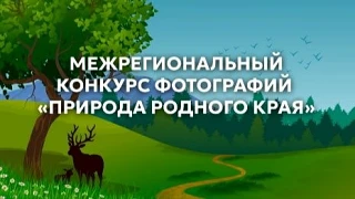 Межрегиональный конкурс фотографий "Природа родного края"
Конкурс проводится среди жителей Воронежск