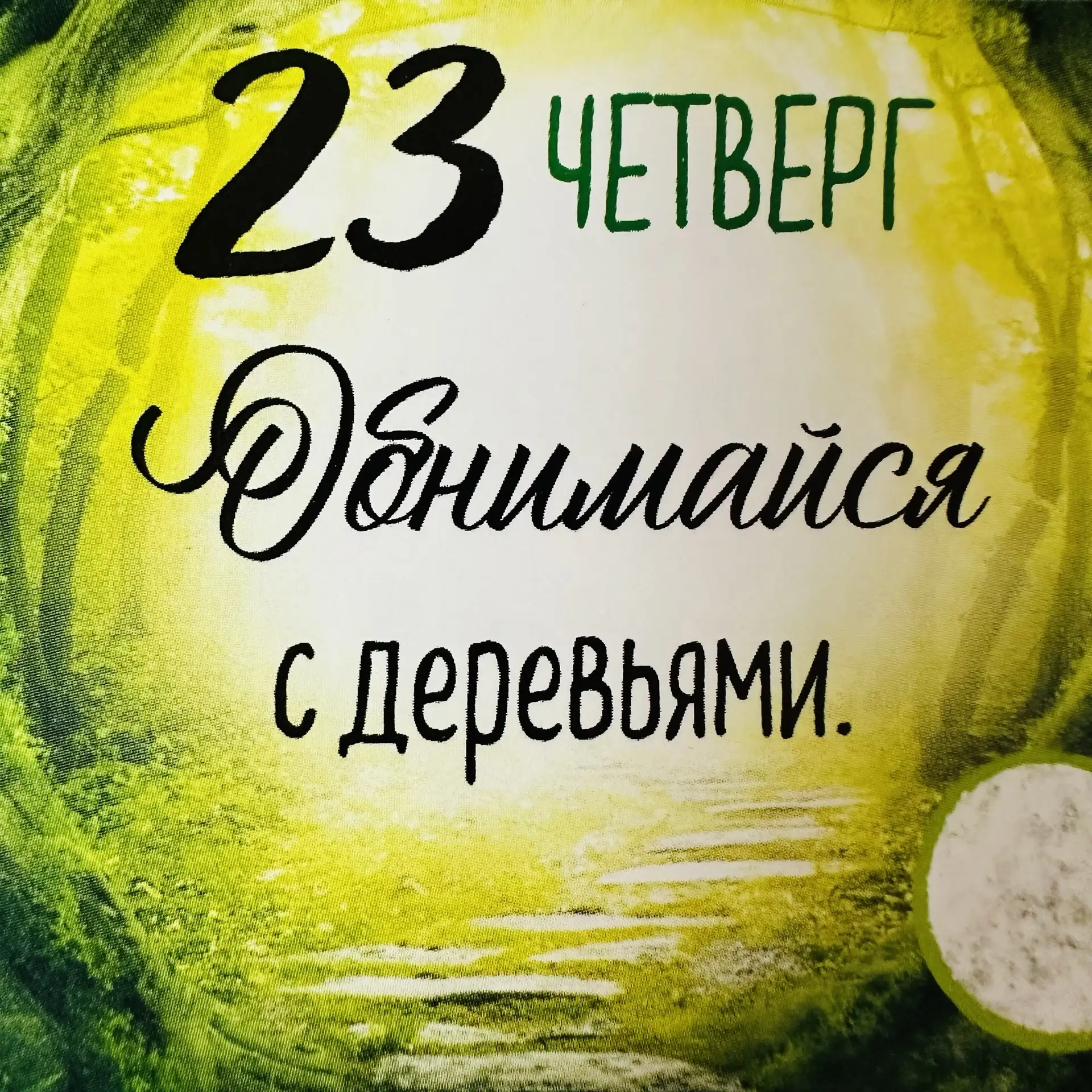 Задание дня ⬆️