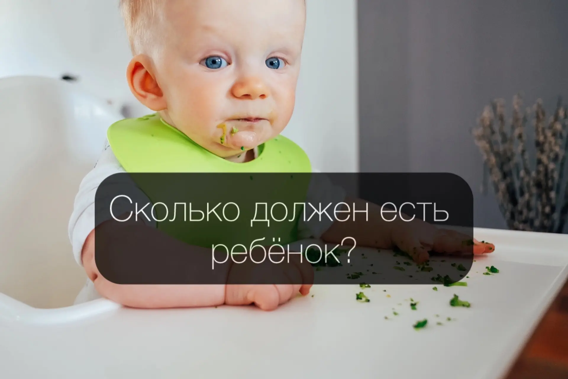 А сколько еды ребенок должен есть?🤔

Желудок малышей имеет небольшой объем, примерно с его кулачок.