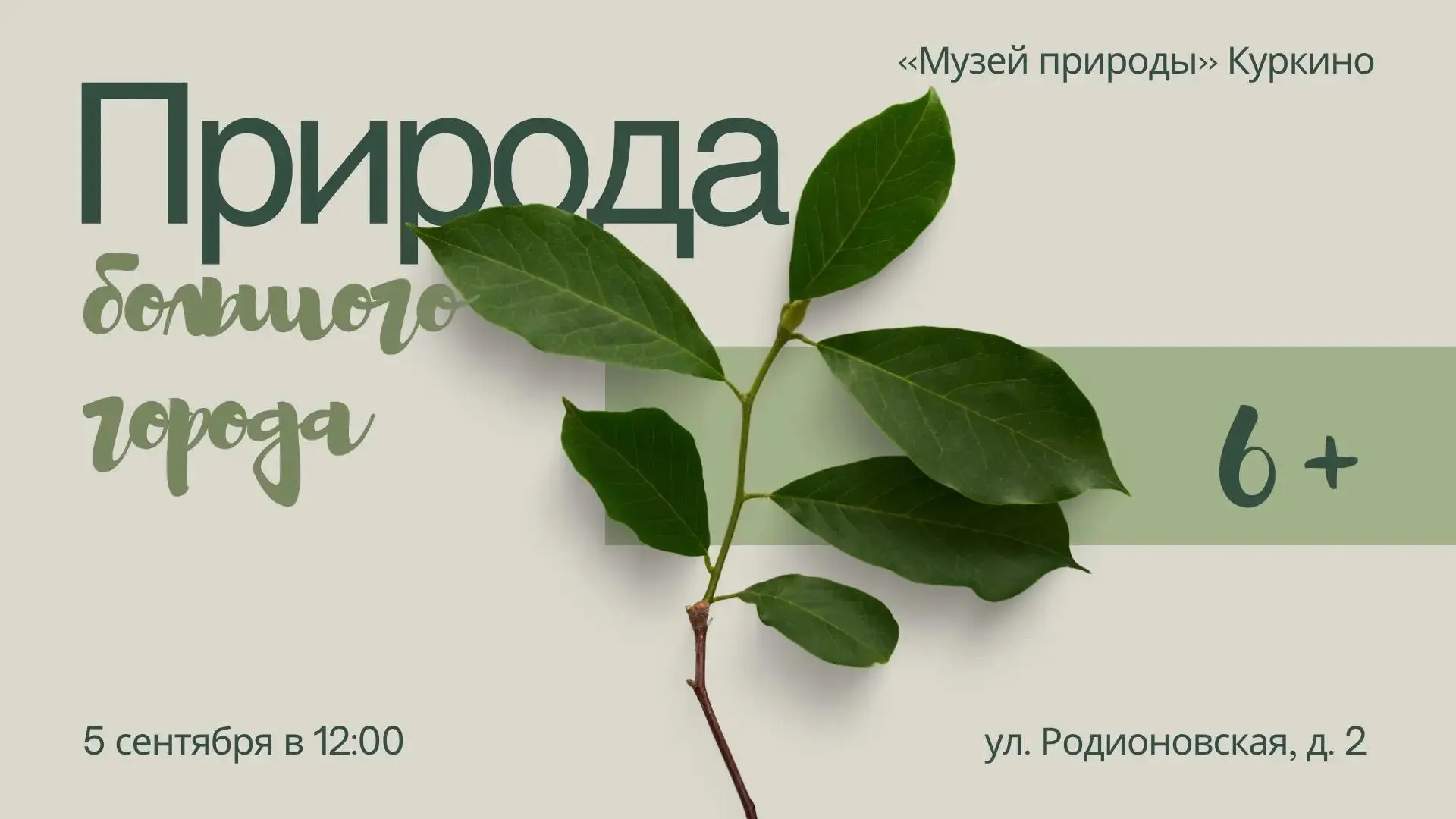 🏙️ Занятие «Природа большого города» пройдет в Куркино