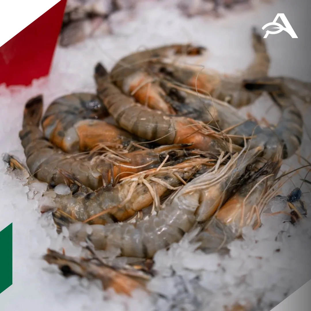 🇮🇳 Индия обсудит с ЕАЭС снятие нетарифных барьеров в торговле продукцией АПК
 
Индия планирует обс