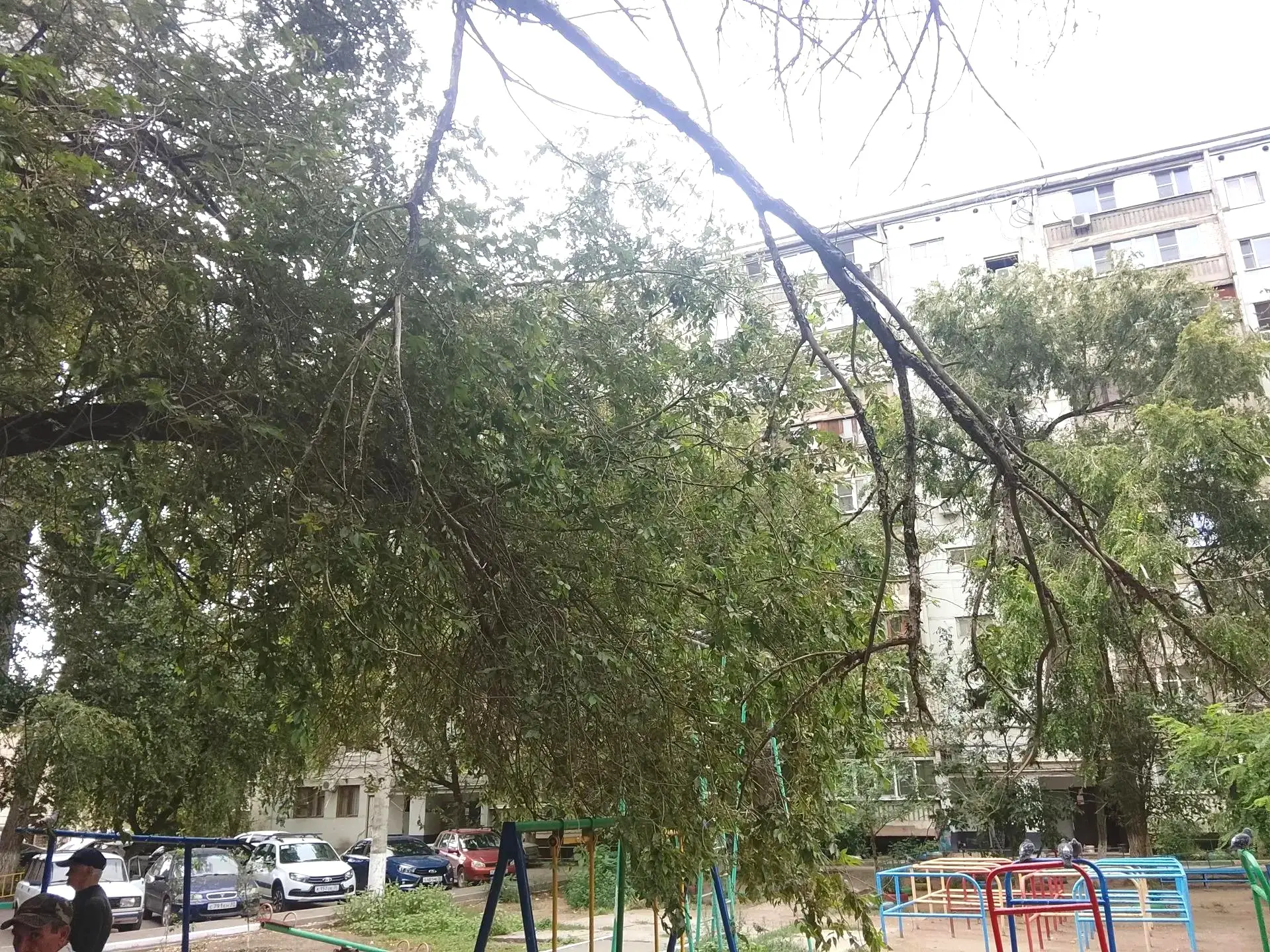 К новости «🧸 Больше простора для маленьких исследователей»