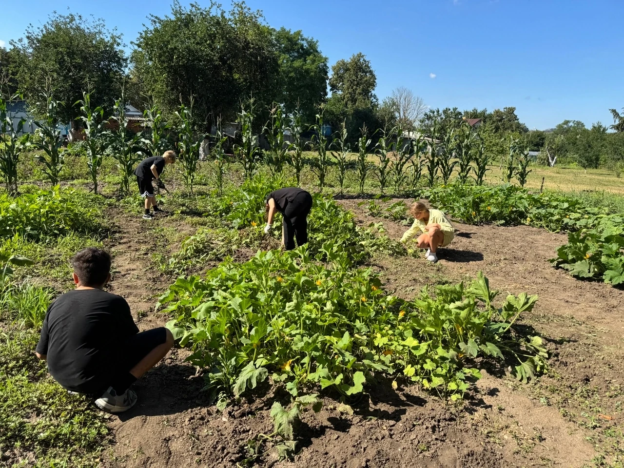 Работа на пришкольном участке 🌿🌿🌿