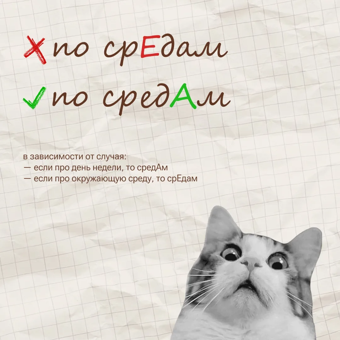 ⚡️Ударения, которые больше не будут проблемой  Знакомо, когда ребёнок говорит «звОнит» или «тортЫ»? 
