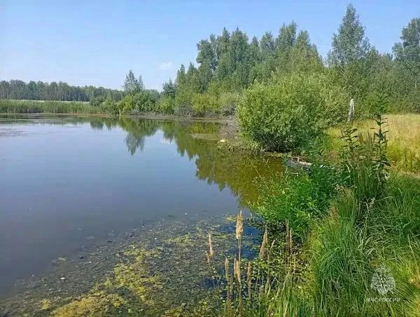 В котловане Частоозерского округа утонул 53-летний мужчина

Его тело было поднято с поверхности иску