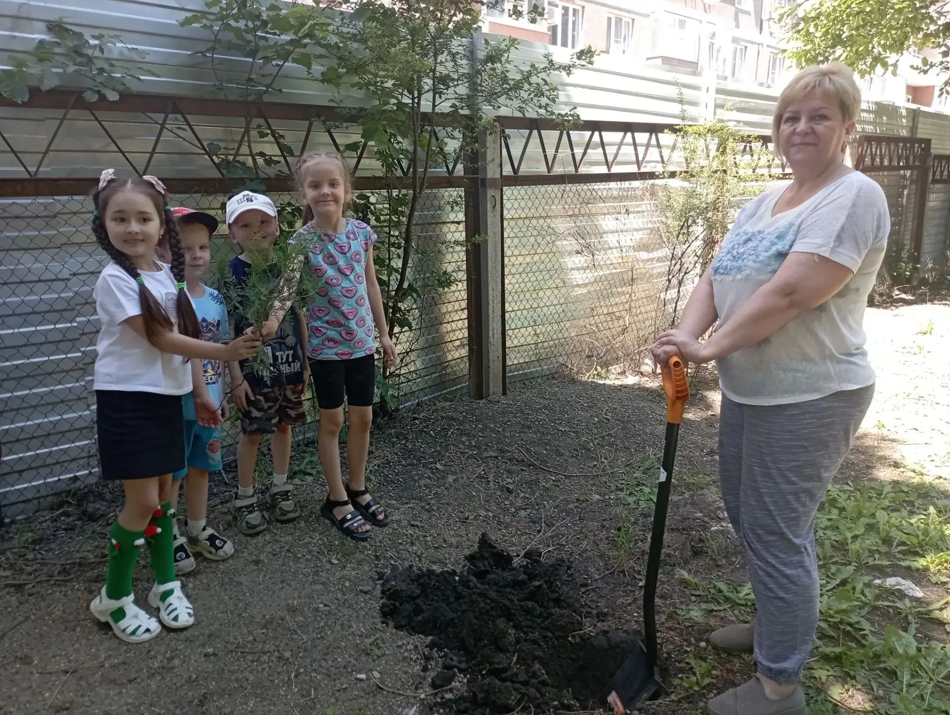 🌲На игровой площадке группы «Капельки» произошло настоящее чудо — появились две очаровательные туи!