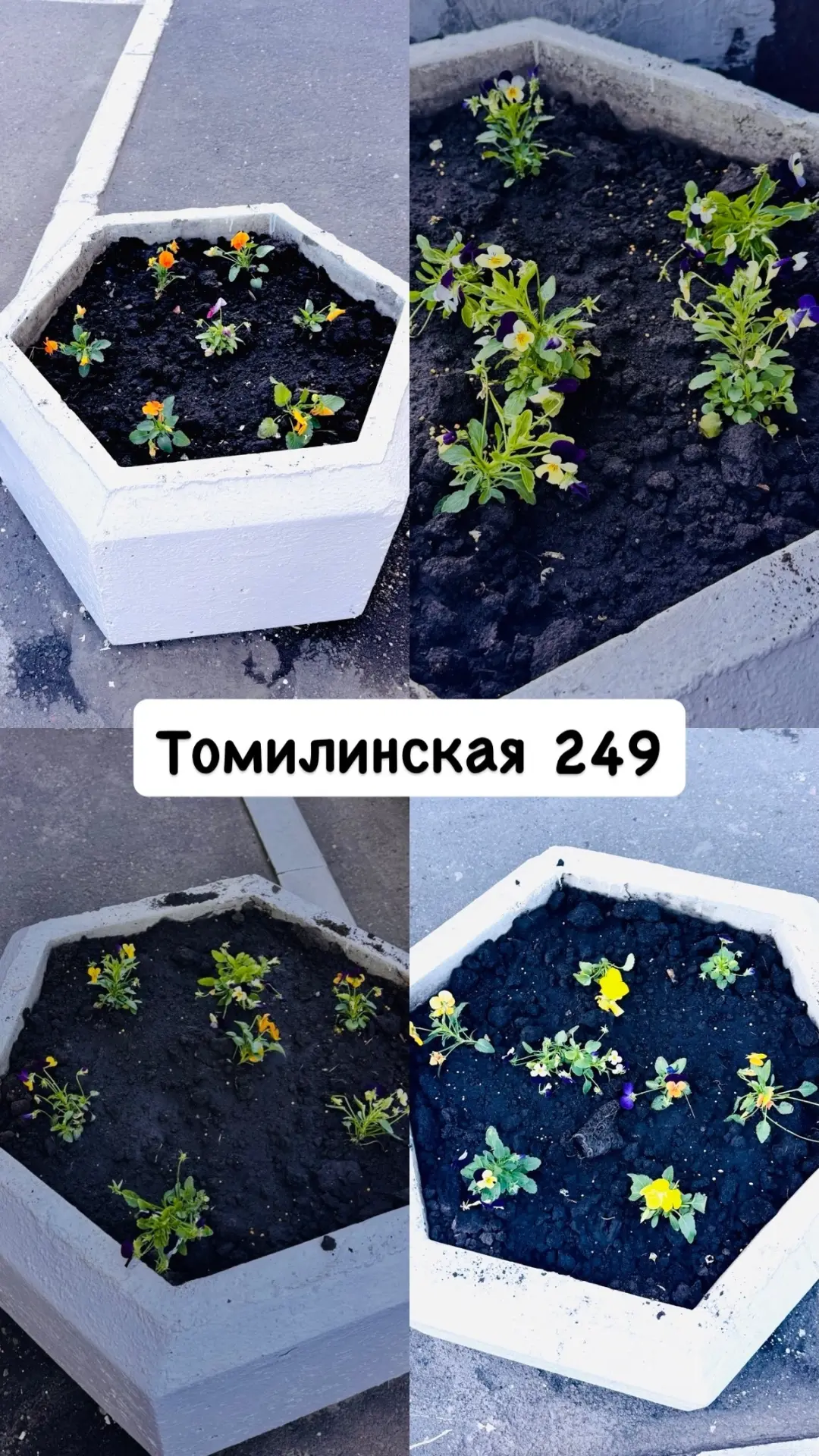 Сегодня, 22 мая наши мастера домов, совместно с дворниками и активными жителями провели...