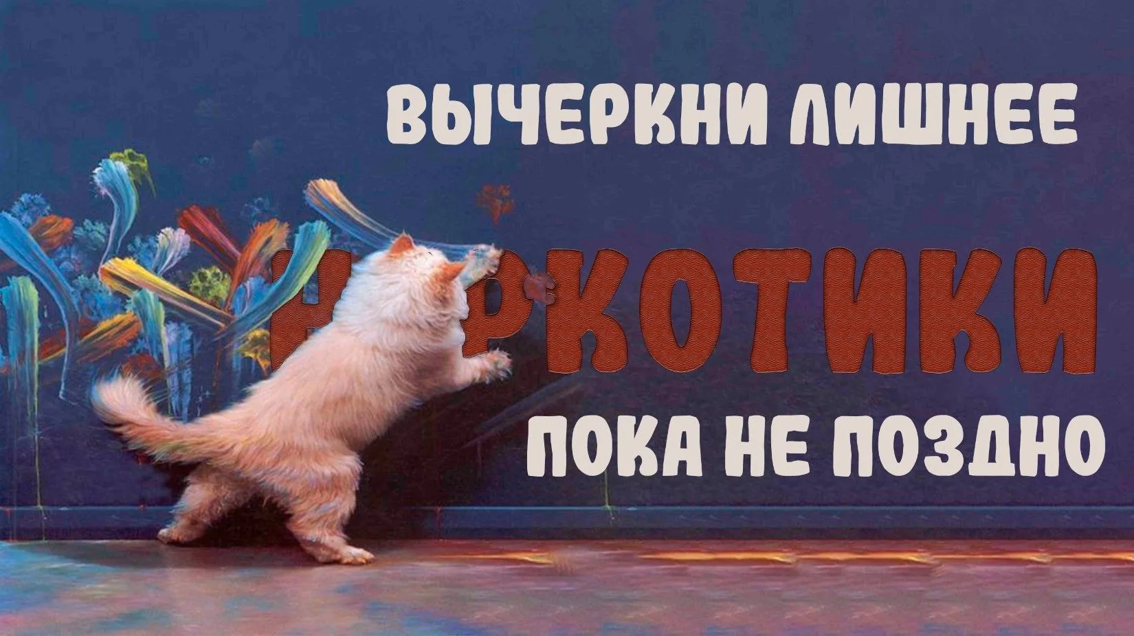 Лучше котики, а не наркотики!
⁣
Жизнь — слишком ценная вещь чтобы тратить её на смертельную игру.
На