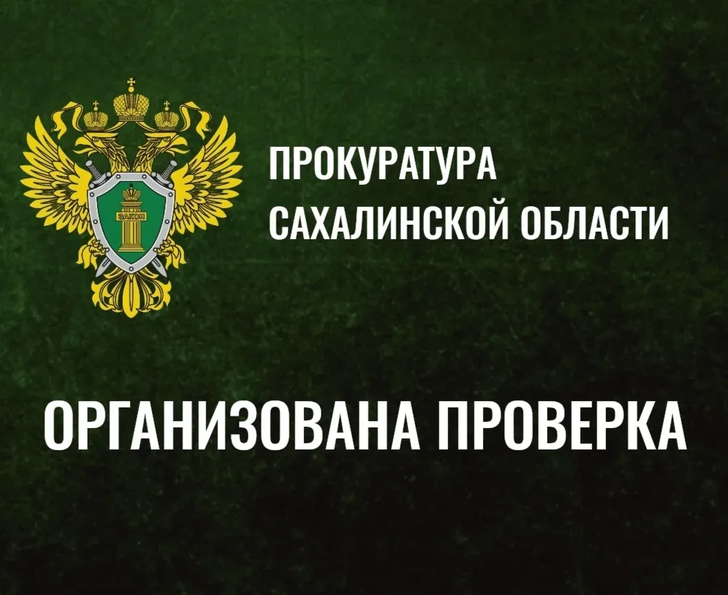 Прокуратурой Анивского района  организована проверка по факту причинения несовершенноле...