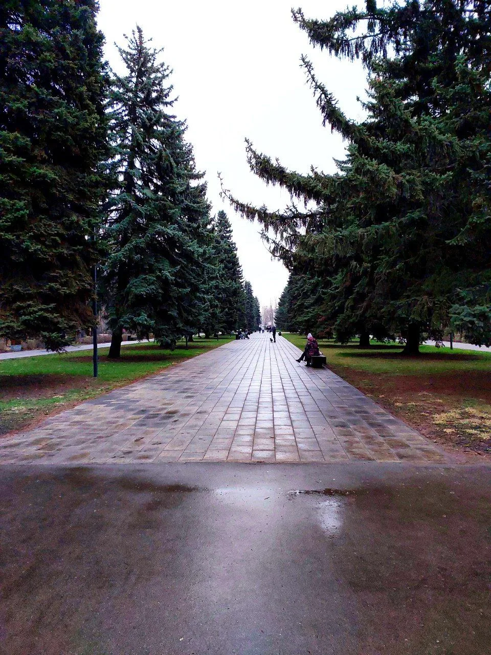 🌸 Быханов сад 🌸  Друзья, Гуляка побывал сегодня в Быхановом саду - красота неописуемая! 😍 Цветение н