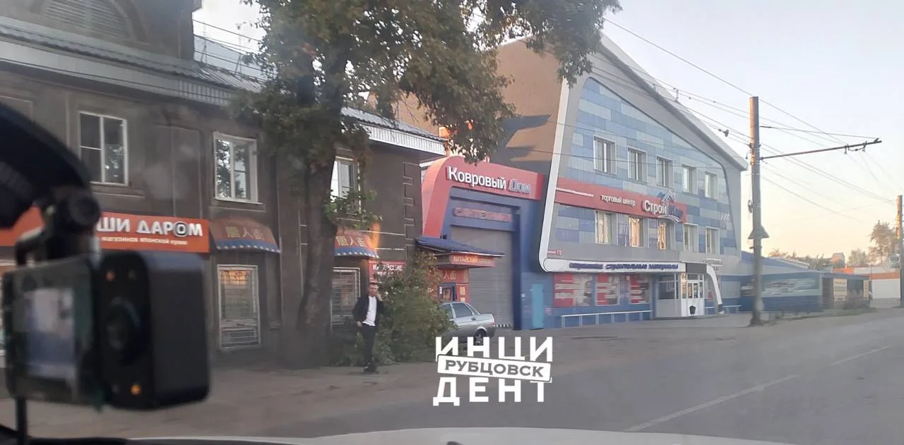 ❗️В Рубцовске очередная ветка рухнула на припаркованный автомобиль