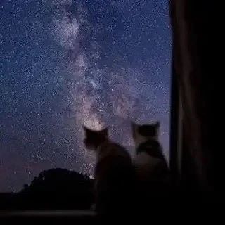 🌠 В октябре челябинцы увидят сразу два звездопада