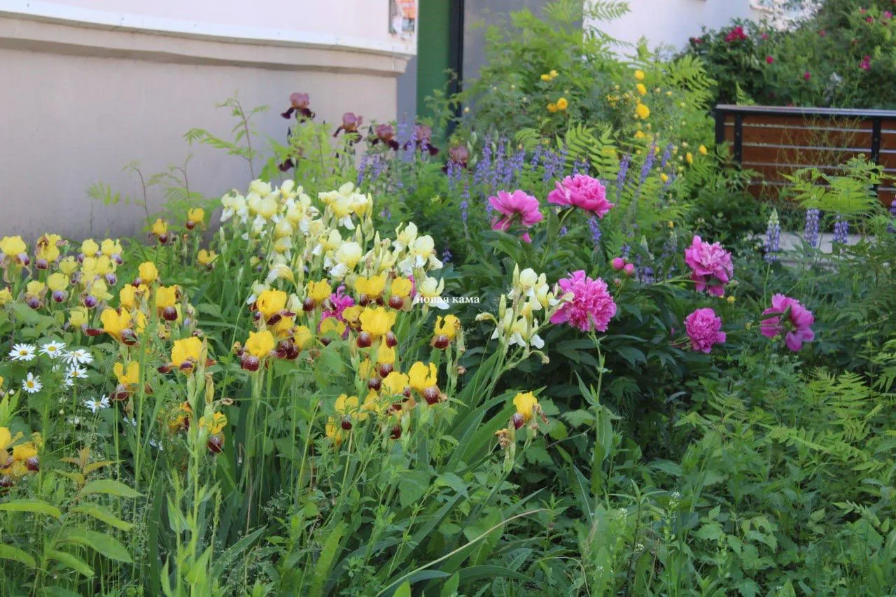 🌷 Красота начинается с заботы о своём дворе