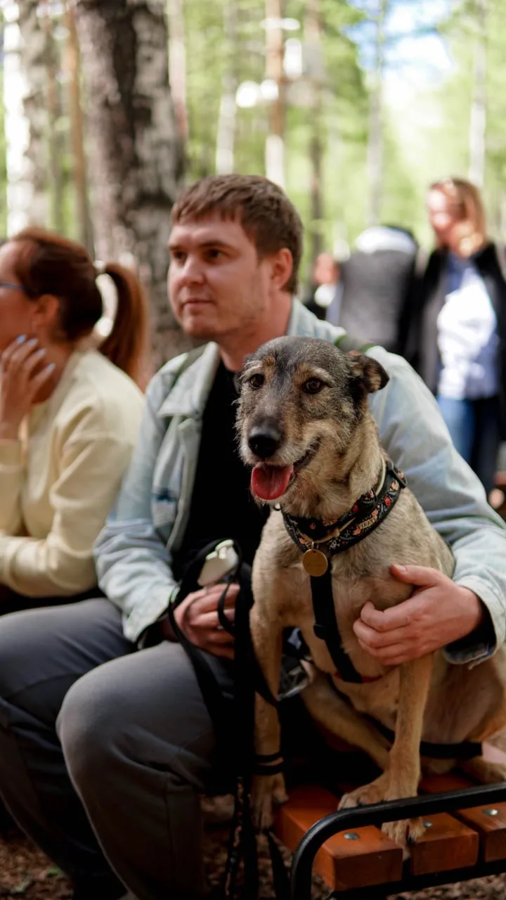 🐕 В парке Маяковского, 23 мая, в парке снова пройдёт фестиваль по пристрою животных «Дорога домой». 