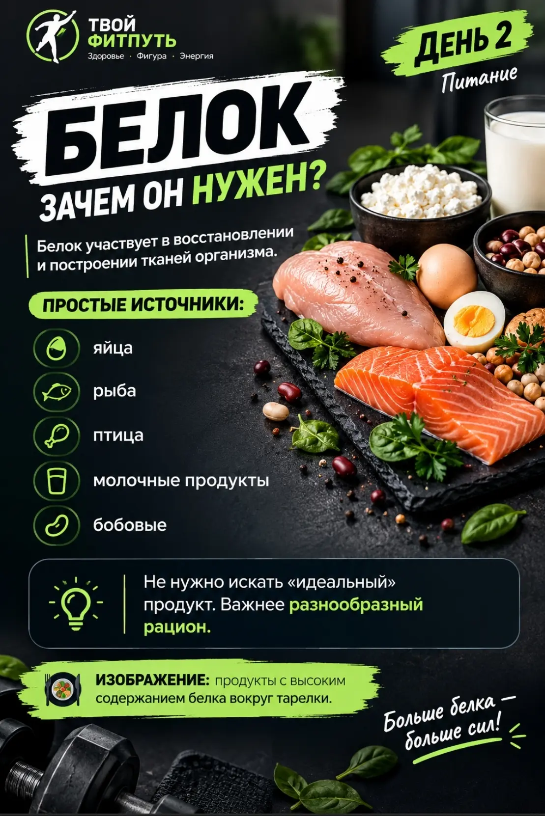 Питание — Белок.
