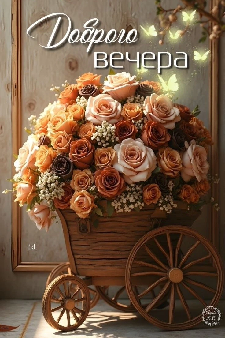 Добрые открытки каждый вечер!