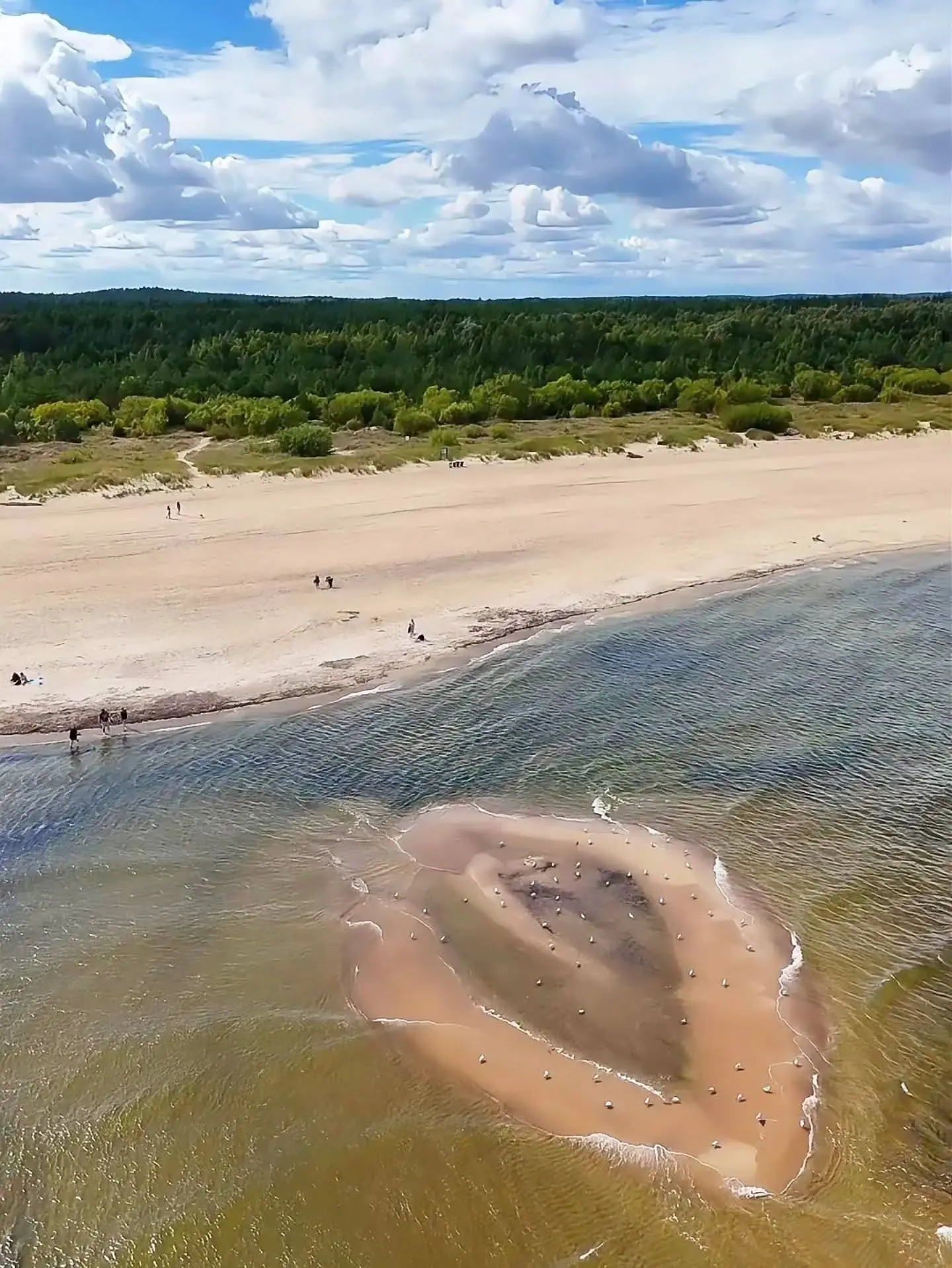 А вы замечали, что иногда по побережью Балтийского моря намывает вот такие островки? 😳🌊