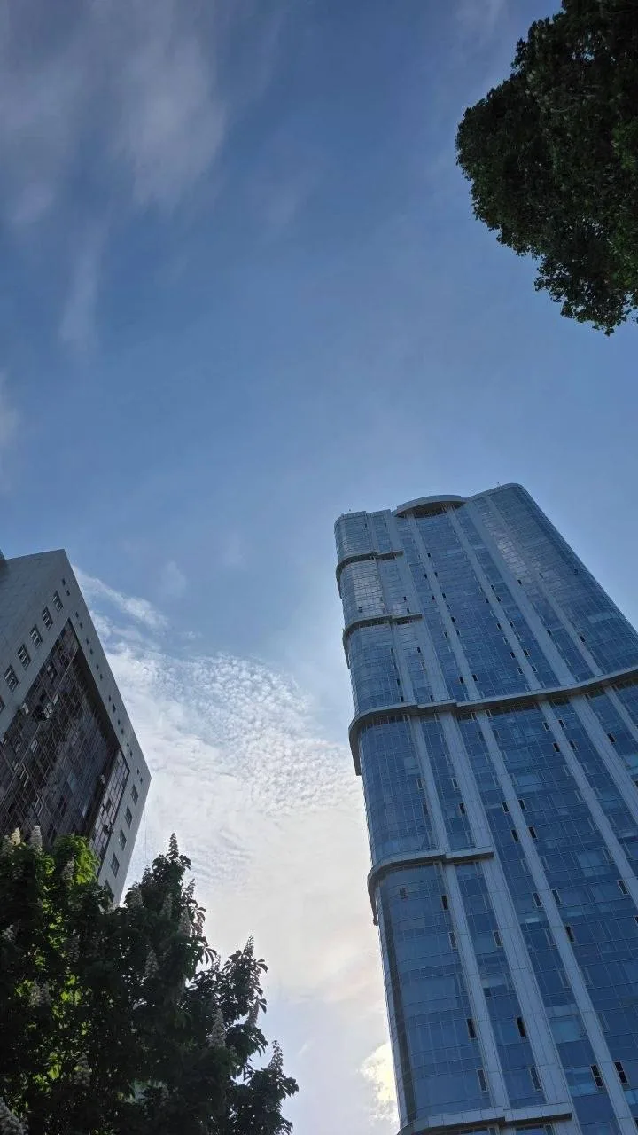 Предмостовая 💙

Благодарим Марию за фото.