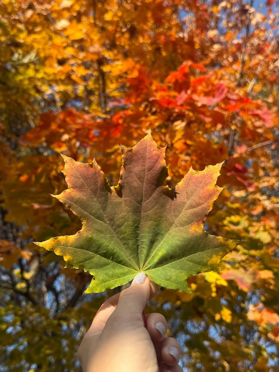❗️😍Осень в челябинском зоопарке
