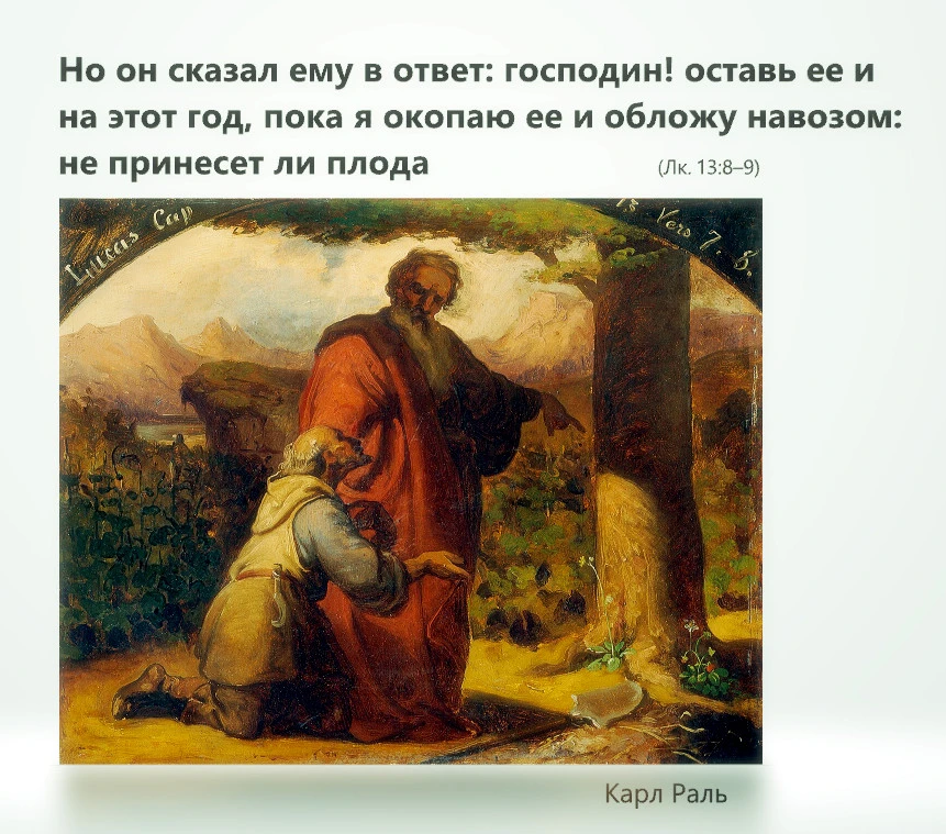 Долготерпение Божие

«Но он сказал ему в ответ: господин! оставь ее и на этот год, пока я окопаю ее 