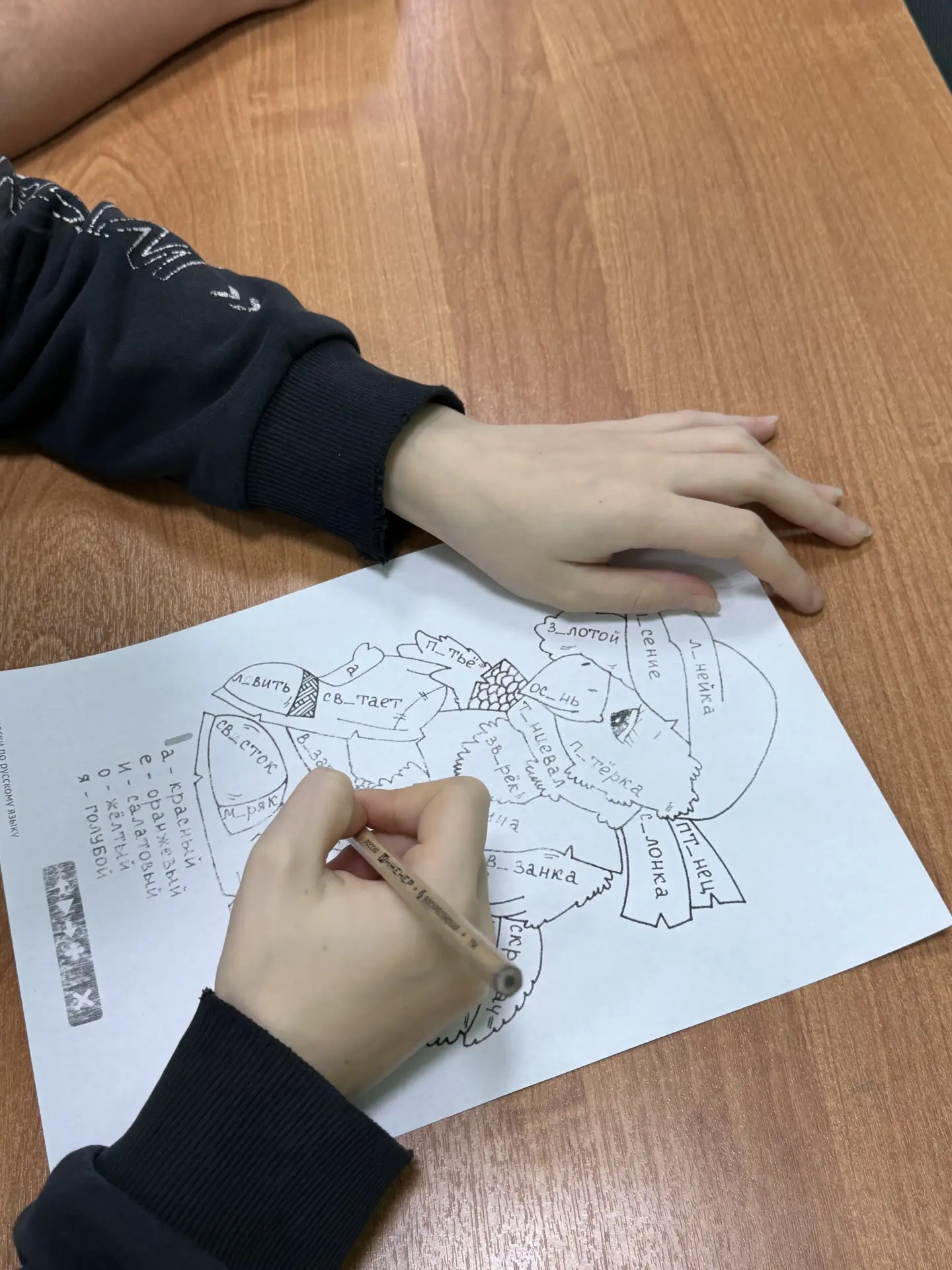 🤔 Зеркальные буквы: почему «Е» смотрит не в ту сторону?