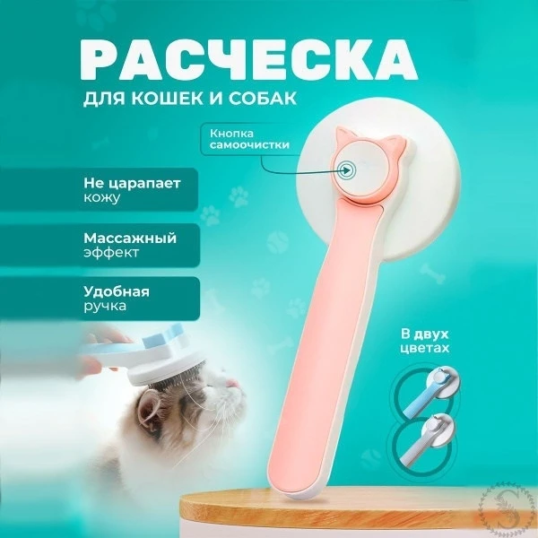 https://vk.com/photo-184814919_493451900